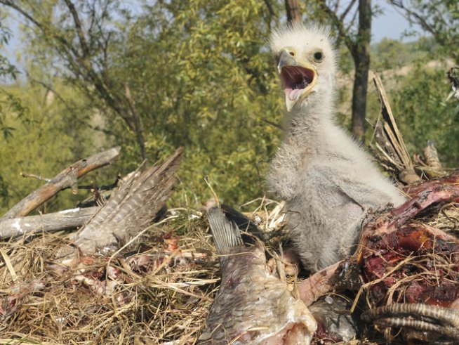 Снимка: thinkstock