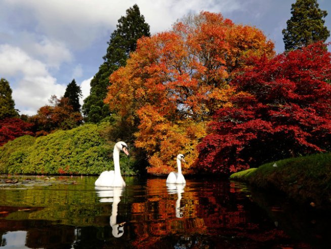 Любовни есенни рими – 17-а част