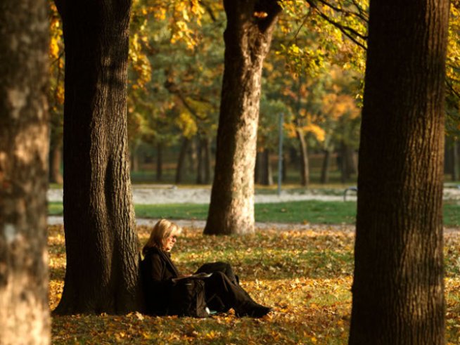 Любовни есенни рими – 19-а част