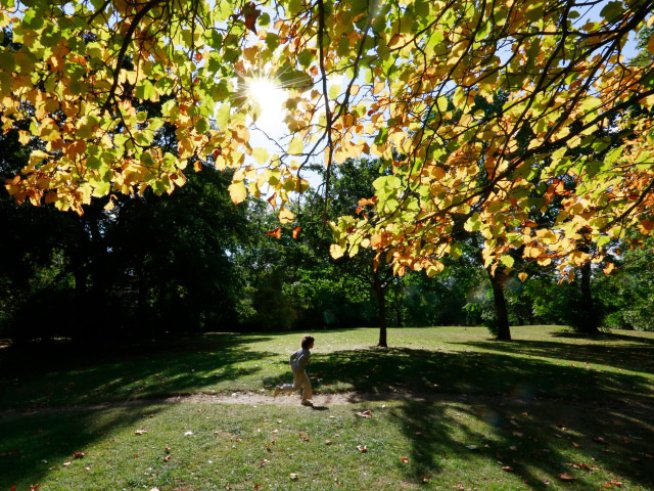 Любовни есенни рими – 9-а част