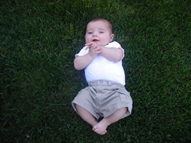 Снимка: Sxc.hu