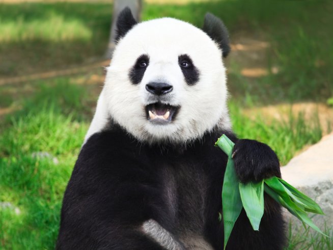 Снимка: iStock