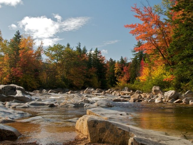 Снимка: Sxc.hu