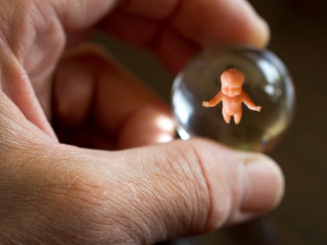 Снимка: istock