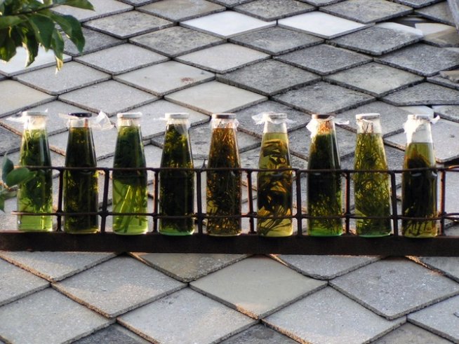 Снимка: Sxc.hu