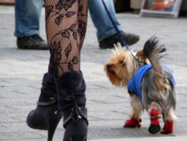 Жената е жена само с рокля и пола