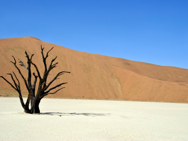 Снимка: istock