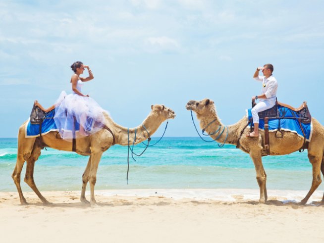 Снимка: istock