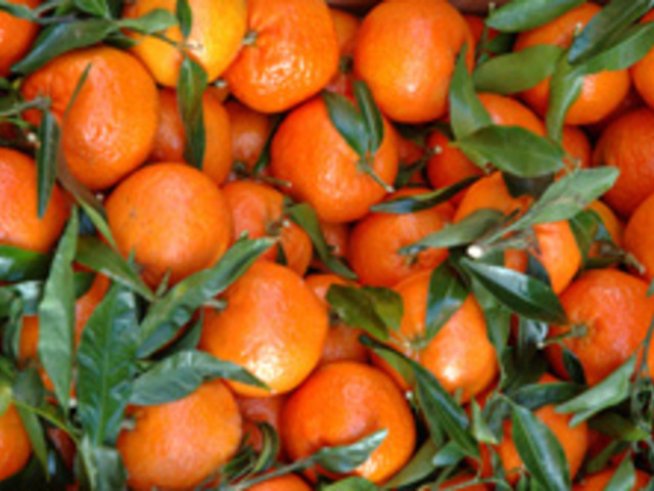 Вредите от портокаловия сок