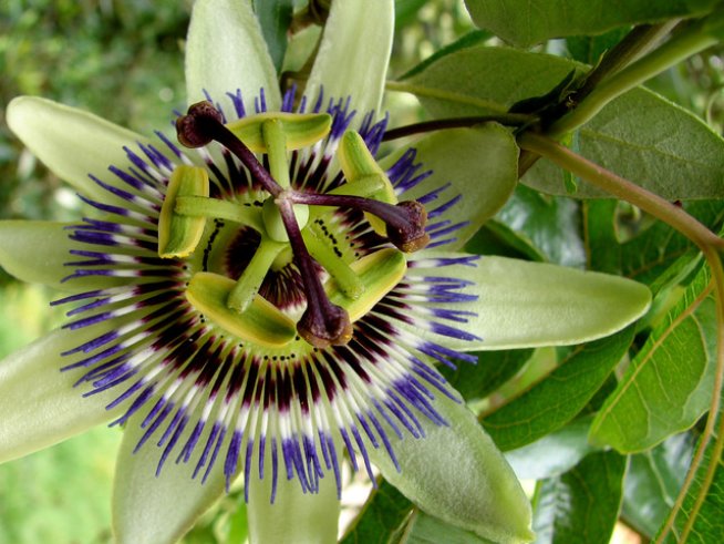 Снимка: freeimages.com