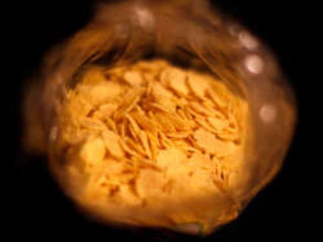 Каква да бъде закуската на децата?