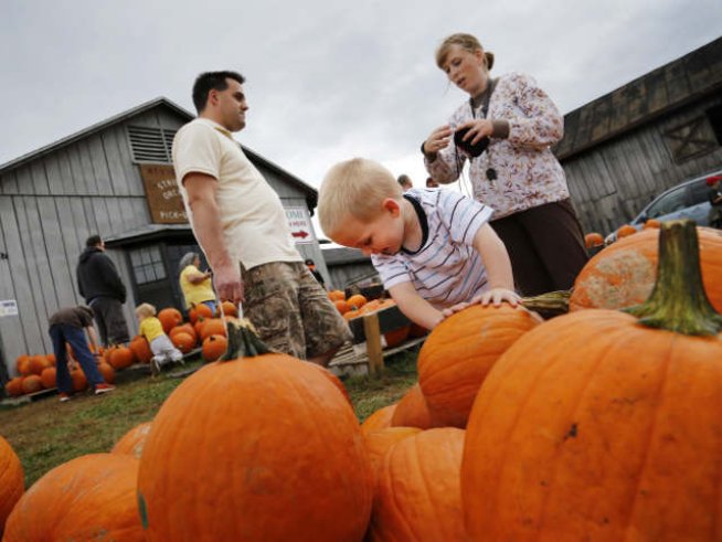 На пазар: хубавата тиква е тежката тиква