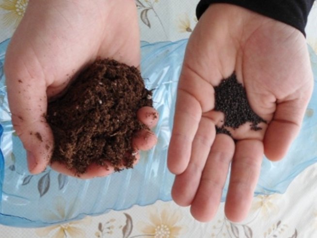 Подготовка за билкова градина на балкона в 4 стъпки