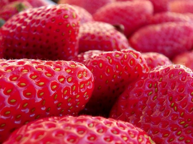 Снимка: Sxc.hu