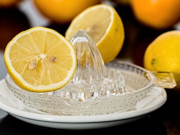 Лимонов сок
Лимонът е един от най-полезните плодове. Той съдържа много антиоксиданти и витамин С, които могат да подобрят имунната система и също така балансират нивата на алкално-киселинния баланс в организма. Пиейки свеж сок от лимони (може да добавите и други цитруси към него) тялото ви ще бъде по-малко податливо на заболявания. &nbsp;&nbsp;Снимка: pixabay