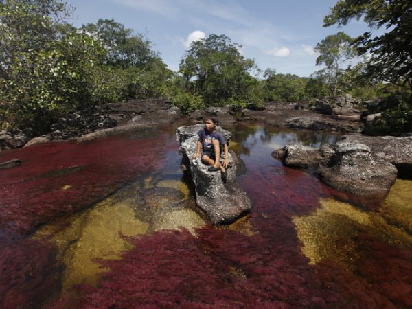 Наричат я реката на петте цвята и се намира в Колумбия. Експлозия от цветове се наблюдава във времето от септември до ноември месец. През този период под слънчевите лъчи водата се превръща в блестяща магия. Прозират червен, жълт, зелен пясък и синя вода. &nbsp;Снимка: Reuters