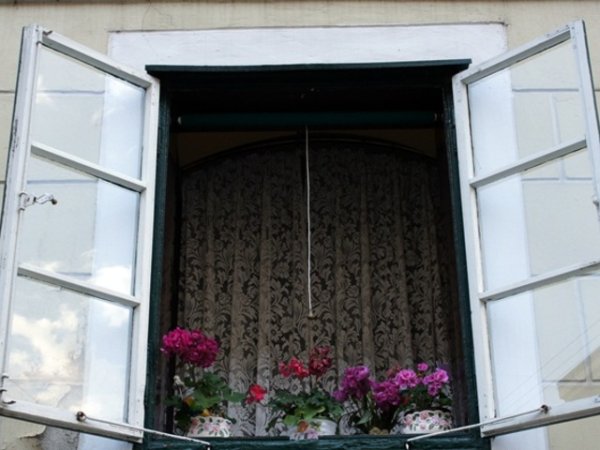 Цветя на прозореца в Загреб в "дантелени" порцеланови саксии. Снимка Ивет Лолова