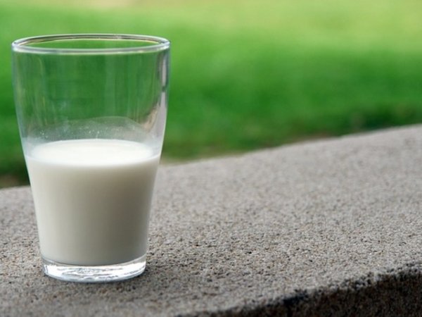 Козе мляко&nbsp;
Защо е полезно? Козето мляко съдържа калций, протеин и витамин D.&nbsp;&nbsp;Снимки:&nbsp;pixabay