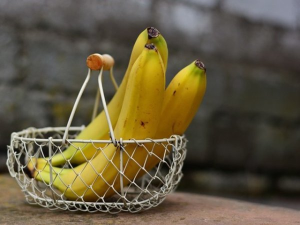 При хипертония
Бананът е най-добрият източник на калий сред плодовете. Калият е основен минерал за поддържане на нормалното кръвно налягане, здравето на сърцето и здравината на костите. Един банан съдържа 450 mg калий, четири пъти повече отколкото има в зърнените храни, в хляба и други. Консумирането на два банана на ден ще допринесе за предотвратяването на хипертония, атеросклероза и остеопороза. Бананите също така намаляват риска от инсулт. Снимка: pixabay