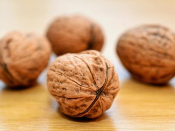 Орехи
Едни от най-полезните ядки за функцията на мозъка са орехите. Но омега-3 мастните киселини и аминокиселините, които се съдържат в тях, пречистват черния дроб и подобряват неговата функция. Ето защо не забравяйте да включите сурови орехи в дневното си меню.
Снимка: pexels