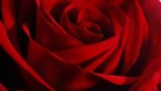 Размисли за любовта, доверието и избора