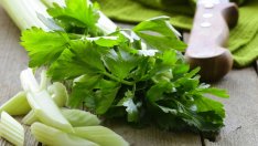 Какво се случва, ако прекалите с консумацията на целина?