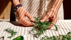 Билки, с които да потиснете апетита и глада за сладко