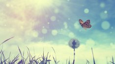 Вдъхновение на седмицата: 5 правила за живот от Петър Дънов