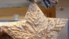 Коледни звезди