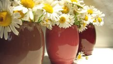 Запазете свежестта на букетите по-дълго с няколко трика