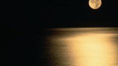 Лунна диета – ноември 2013