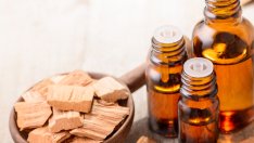 Масло от сандалово дърво и неговите ползи за здравето 