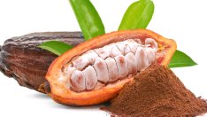 Какаова вода – здравословни ползи от малко познатата напитка 