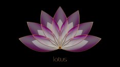 Кои растения носят късмет според фъншуй