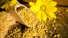 Как пчелният прашец помага за забременяване?