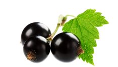 5 здравословни ползи на маслото от черен касис 