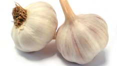 Чесънът – чудото на медицината