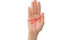 Какво означава, ако имате буква М на дланите си?