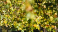 Защо чувстваме умора, дори и след дълъг сън?