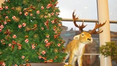 Доказателство, че Дядо Коледа съществува