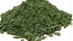 Спирулина – суперхрана, която се грижи за здравето