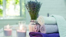 5 растения за спалнята, които ще ви направят по-здрави