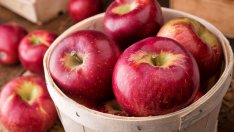 10 суперхрани, които подобряват цялостното здраве 