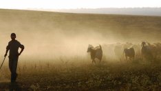 Притча за завистливия овчар