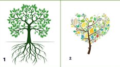 Изберете дърво и вижте какво разкрива за вас