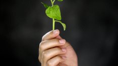 Правилните храни в борбата с килограмите