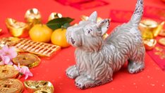 Талисмани за късмет в годината на Жълтото земно куче