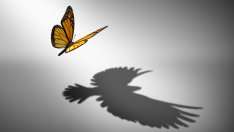 15 начина да бъдете по-самоуверени