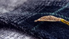 Как да предпазим дрехите си от молци?