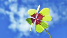 Вдъхновяващи цитати за късмета